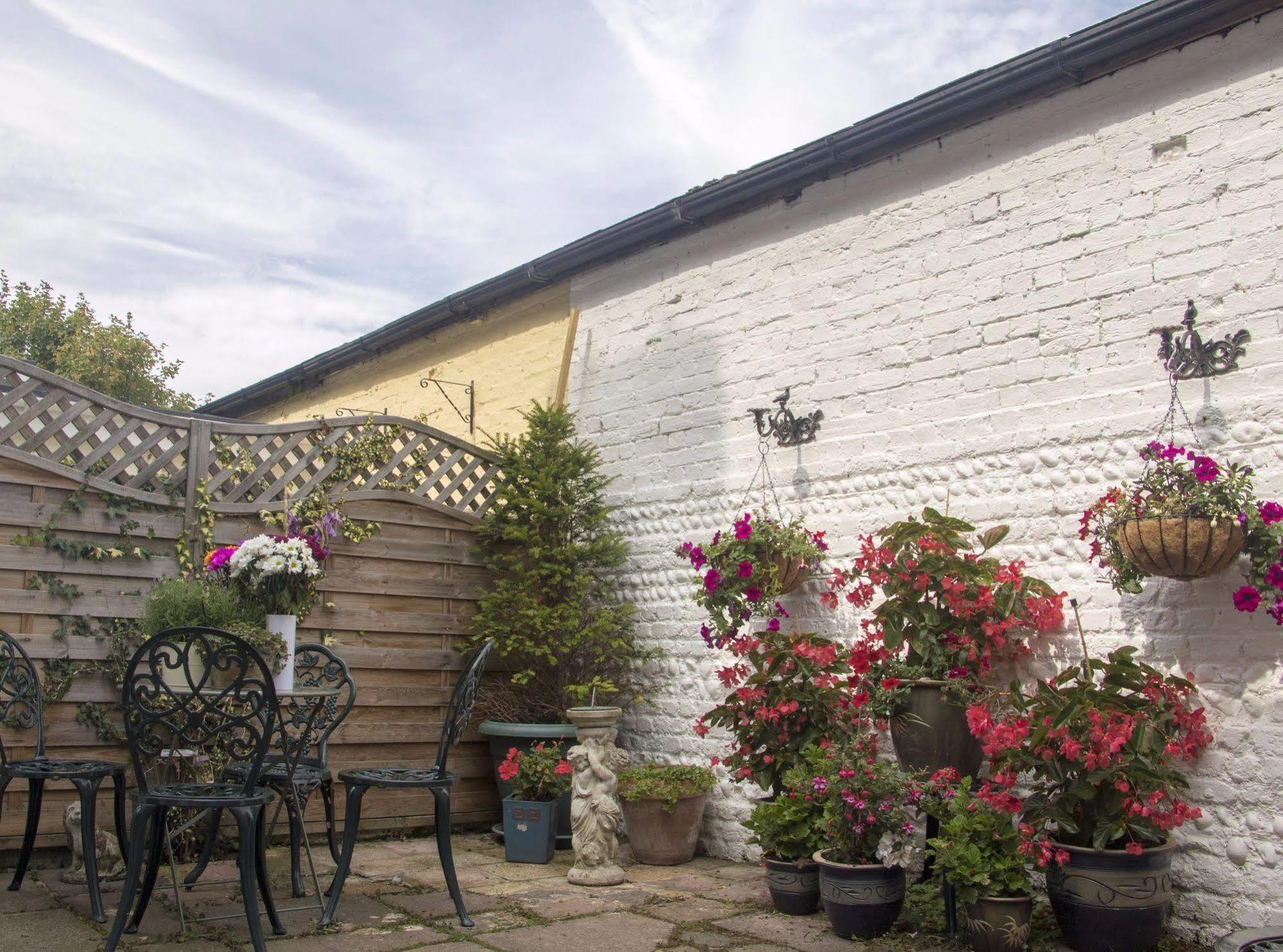 Albert & Victoria Guest House Eastbourne Exterior foto
